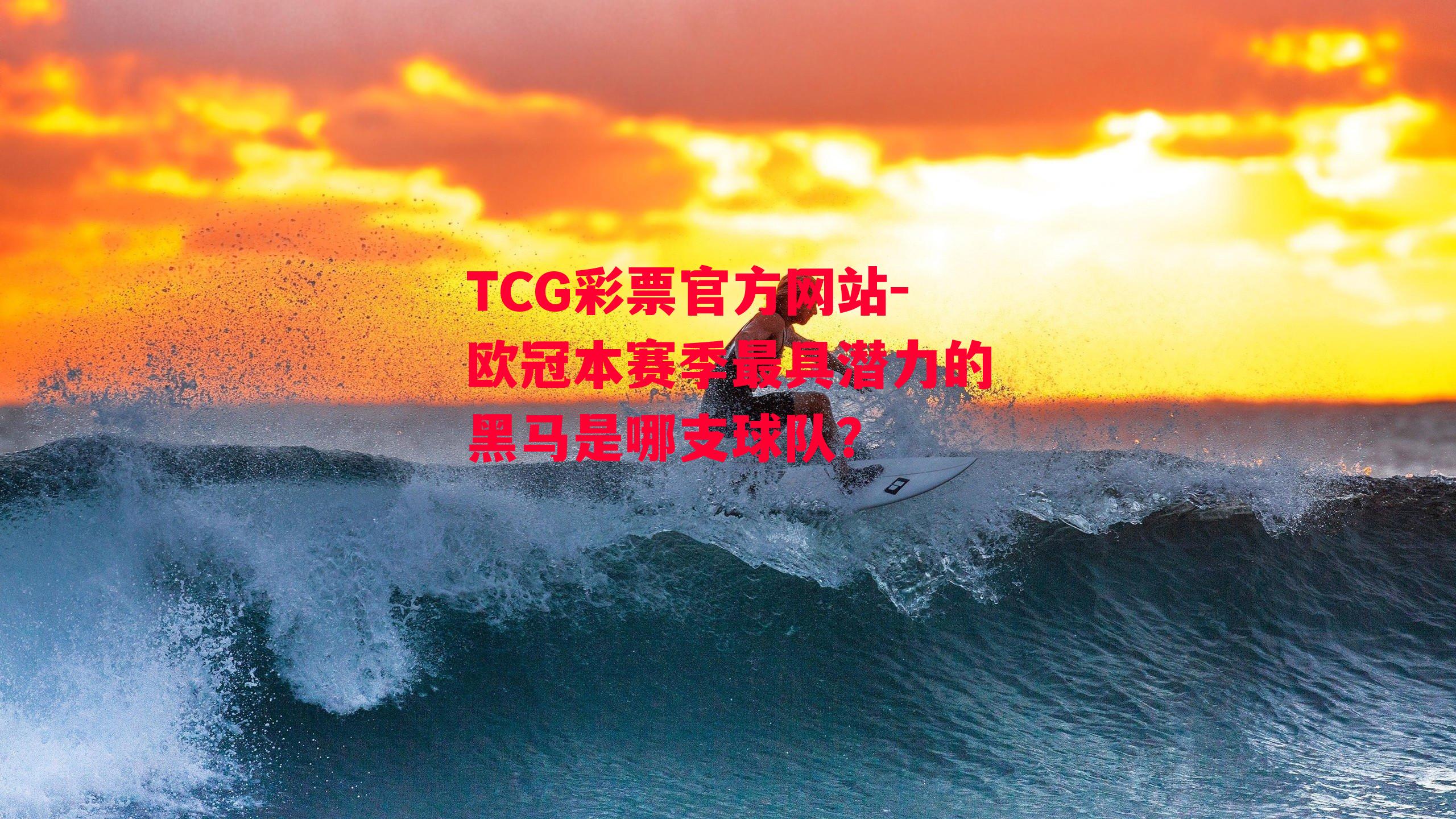 TCG彩票官方网站-欧冠本赛季最具潜力的黑马是哪支球队？